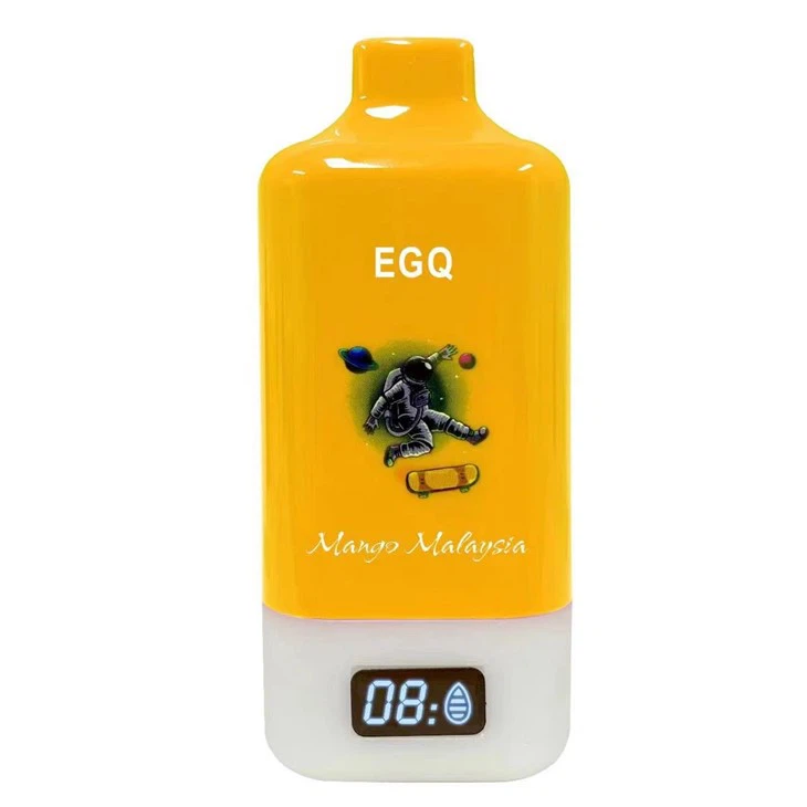 15000 Puff Vape Pod Chargeable Electronic Cigarette