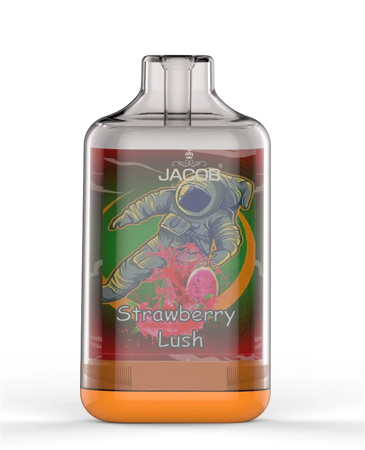 All in One Vape Pen 8000puffs Vape Device