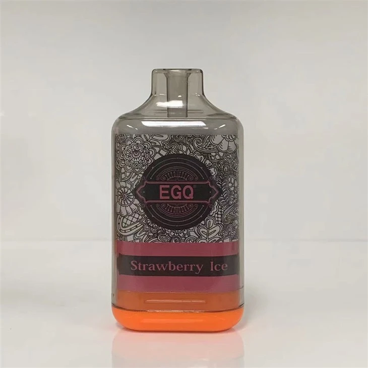 Disposable Electronic Cigarette 10000 Puffs Vape