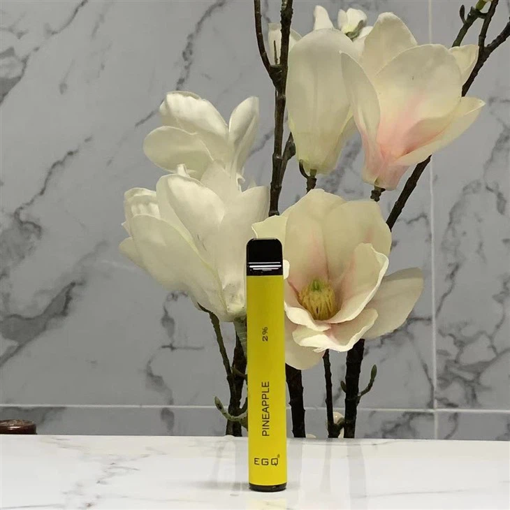 Disposable 2 Ml Vape Pen With 600 Puffs