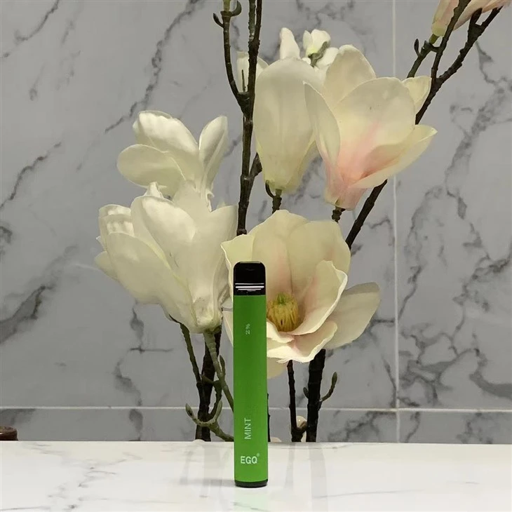 600 Puffs Disposable Vape Pen