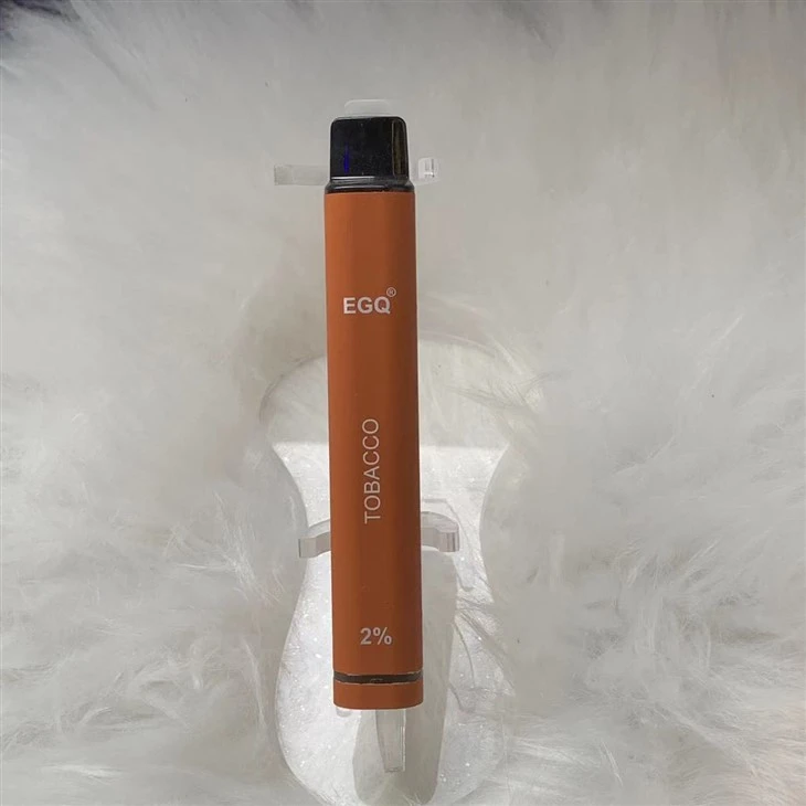 OEM ODM Disposable Vape 600 Puffs E Cigarette Wholesale