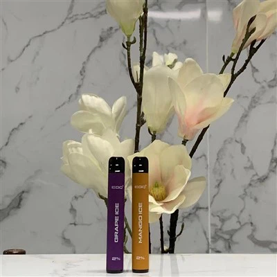 Одноразовая ручка для вейпа 600 Puff с фруктовым вкусом