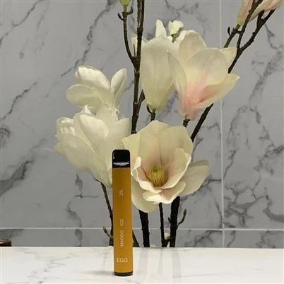 Одноразовая вейп-ручка объемом 2 мл с 600 затяжками