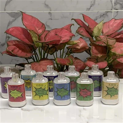 Одноразовый вейп с фруктовым вкусом