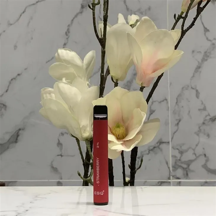 Wholesaler I Vape 600 Puffs Disposable Vape